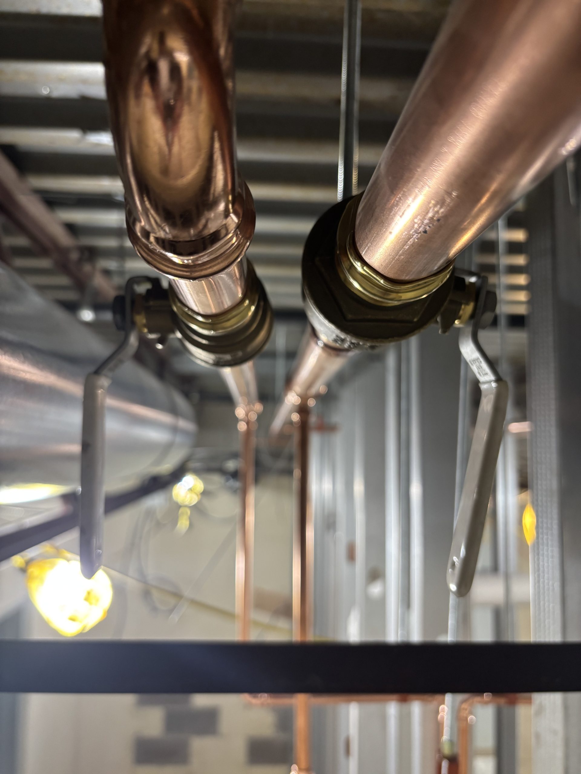 Copper piping shown in commercial plumbing project.